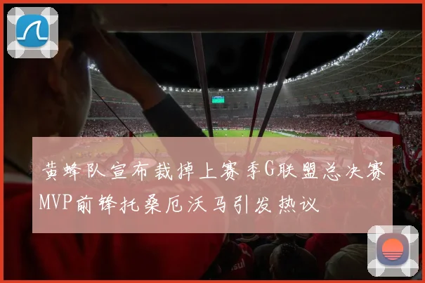 黄蜂队宣布裁掉上赛季G联盟总决赛MVP前锋托桑厄沃马引发热议