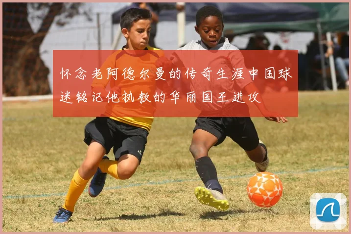 怀念老阿德尔曼的传奇生涯中国球迷铭记他执教的华丽国王进攻